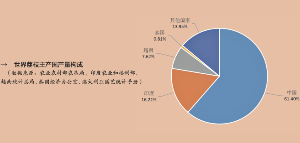 一文了解｜世界荔枝产业情况