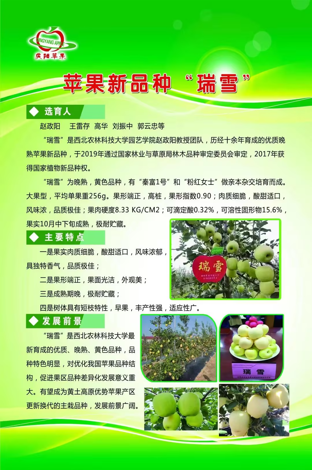 果中臻品，庆阳苹果亮相新疆林果盛会