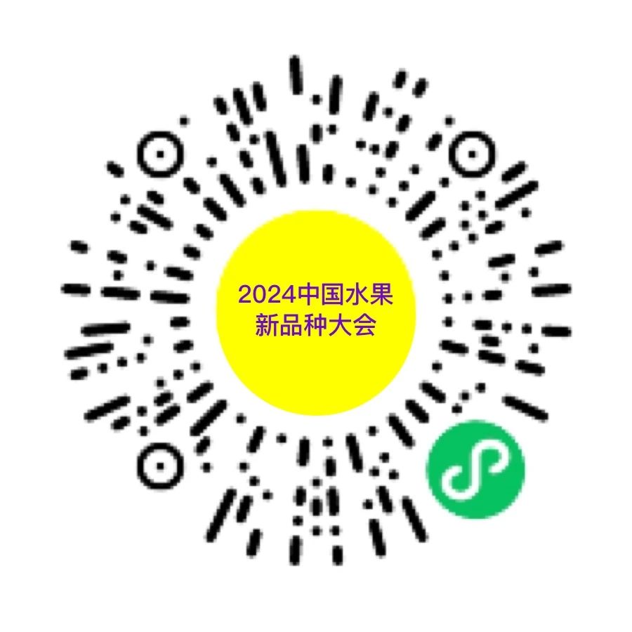 价格跌破6元每公斤，秋月梨也要成“过气网红”了？